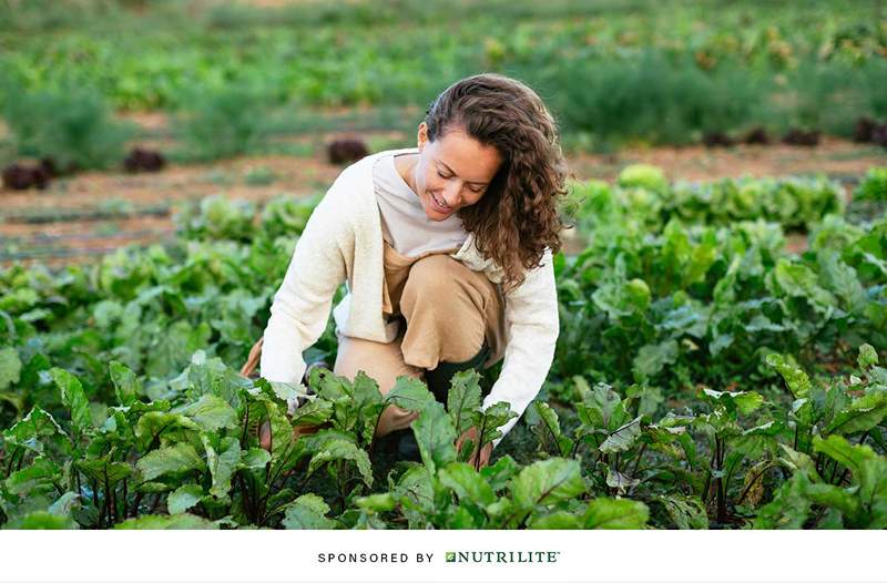 ¿Sabes dónde se cultivan los ingredientes en tus suplementos?? He aquí por qué definitivamente deberías investigarlo