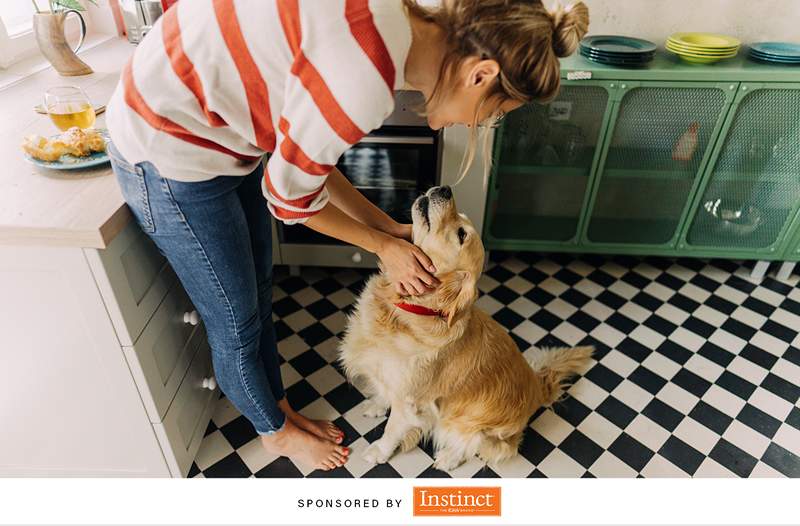 Ich bin ein Ernährungsexperte. So nähere ich mich für mich und meinen Hund gesunde Ernährung für mich und meinen Hund