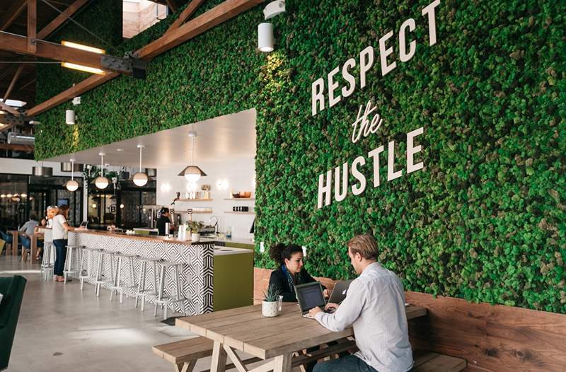 Poslední ekologický tah WeWork se stává zcela bez masa bez masa