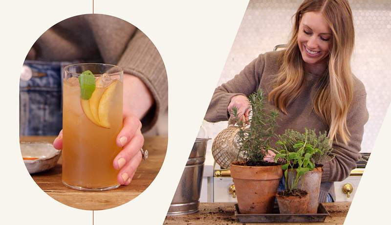 Vous voulez des cocktails super frais? L'astuce consiste à planter un mini jardin dans votre cuisine, c'est comment