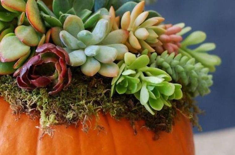 Cara membuat tablescape Thanksgiving yang layak pinterest