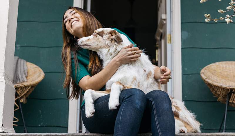 Záleží na tom, jestli váš pes každý den jí to samé? Tady je to, co veterinář říká