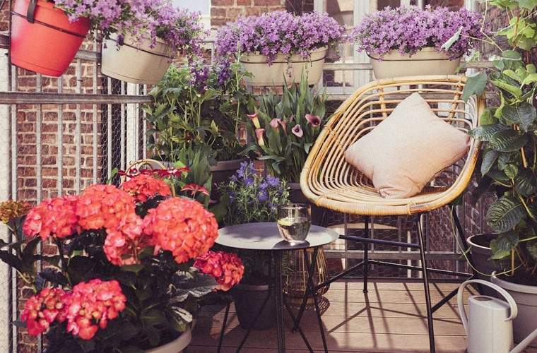 Solo necesitas estas 5 cosas para crear un oasis de patio trasero de ensueño este verano