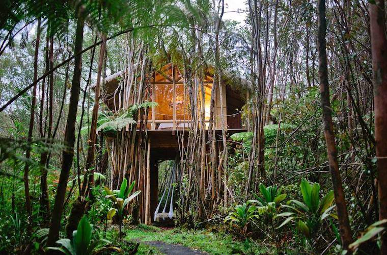 5 Rumah pohon yang halus dan terpencil di Airbnb untuk liburan restoratif Anda