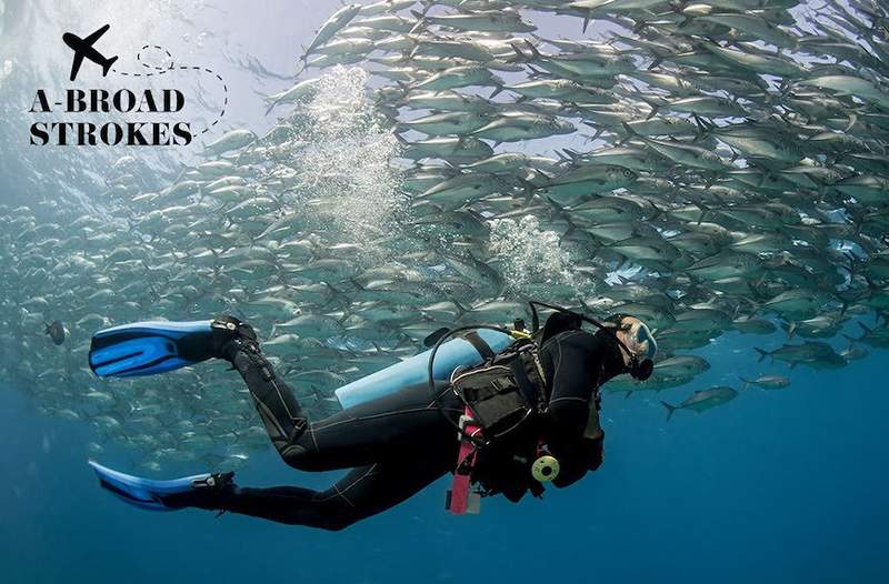 Scuba -dykning i Caribien gav mig den meditative oplevelse, jeg ikke tilmeldte mig