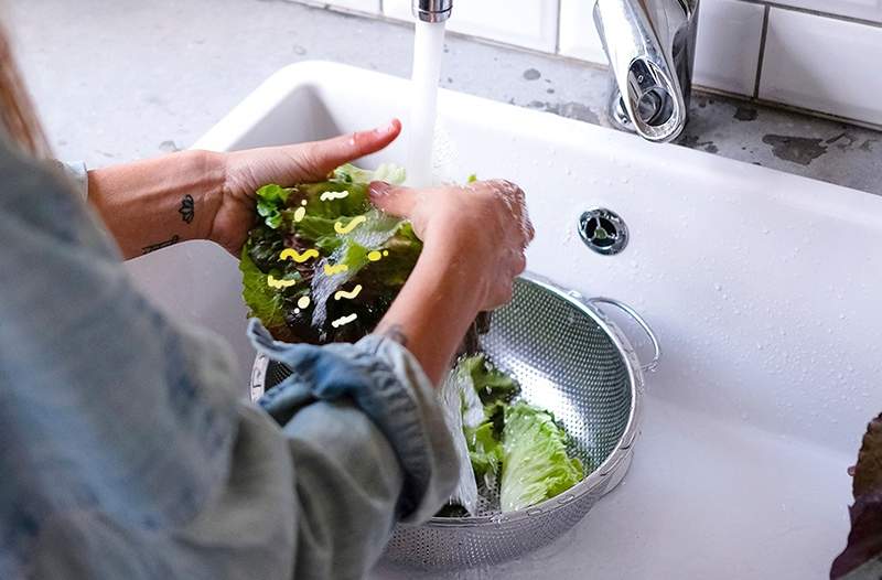 Uzklausiet mani dažas kļūdas jūsu organiskajās veggies jūs nenogalinās