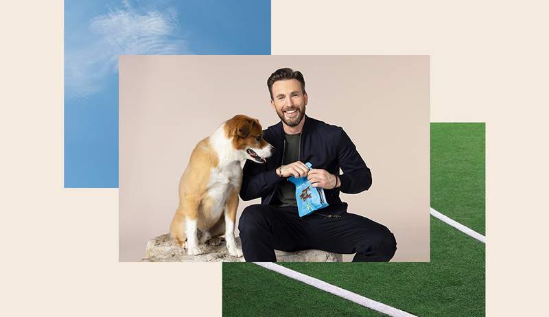 Chris Evans, nasıl meditasyon yaptığını, içe kapanık olduğu ve köpeğinin en yeni rolünü nasıl almasına yardım ettiği konusunda