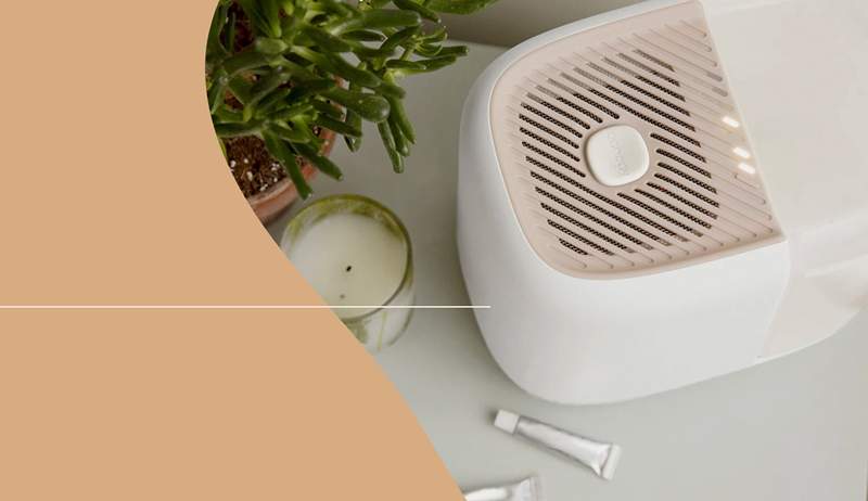 4 Humidificateurs sans brouillard pour sauver votre peau et vos voies respiratoires de l'air d'hiver sec