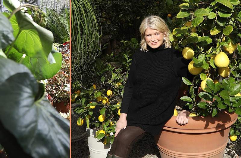 El proyecto de decoración del hogar simple y elegante de Martha Stewart también lo mantiene organizado también