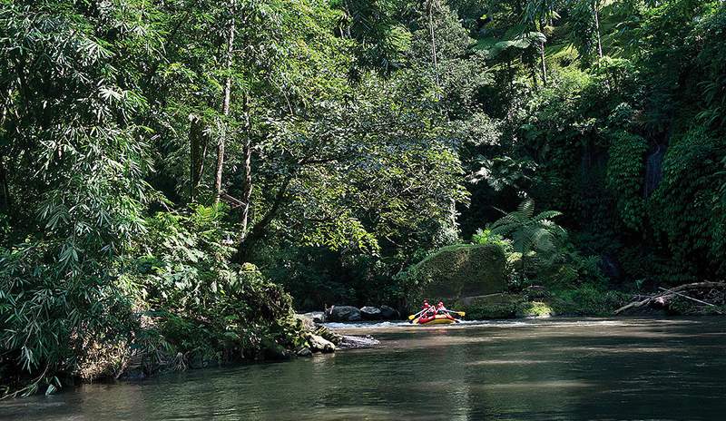 12 Experiencias únicas de la naturaleza inmersiva que puedes probar en los resorts de todo el mundo