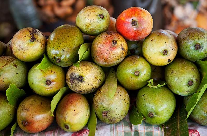 Insula Nevis din Caraibe sărbătorește cele 44 de soiuri de mango cu un festival de mâncare fructată