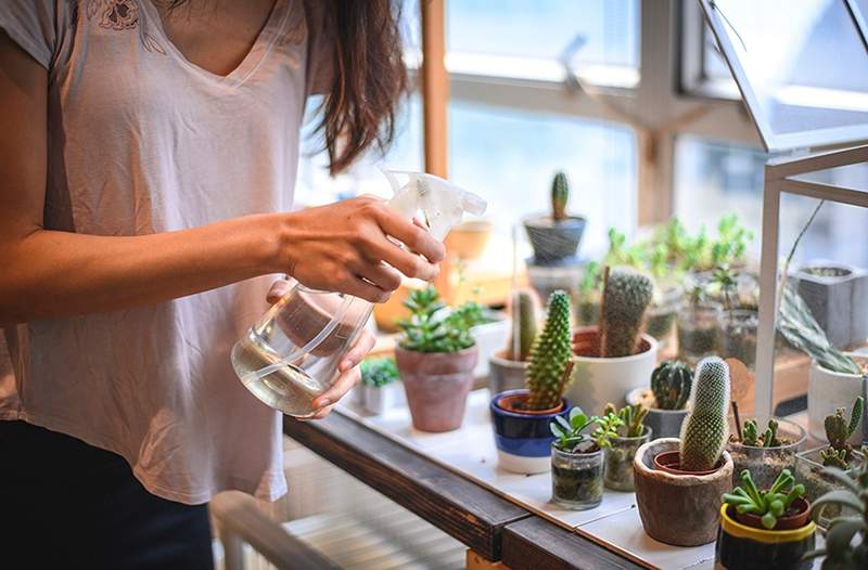 DIY recyklované květináče, aby se váš odpad proměnil v něco skvělého