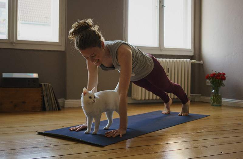 Cele mai sălbatice 10 exerciții de plimbare cu animale clasate de la cele mai ușoare la cele mai grele