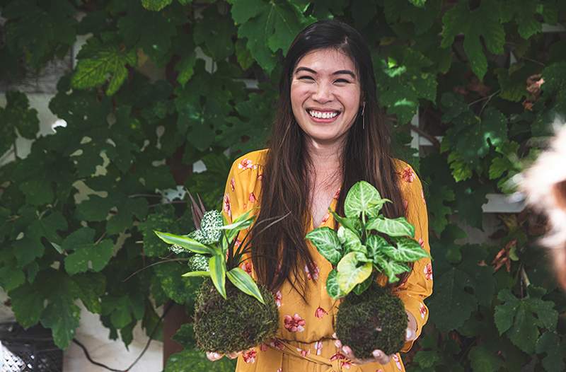 Ingen gryte, ikke noe problem her er hvordan du dyrker planter i ingenting annet enn en mosekule