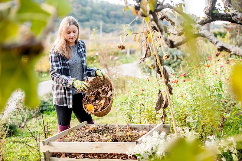 4 Dicas de limpeza de outono para ajudar seu jardim a alcançar todo o seu potencial na primavera