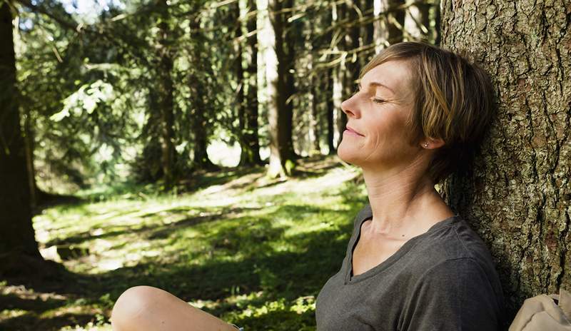 Las fragancias inspiradas en el bosque pueden calmar la ansiedad y luchar contra la niebla cerebral, hay 6 de nuestros nuevos favoritos