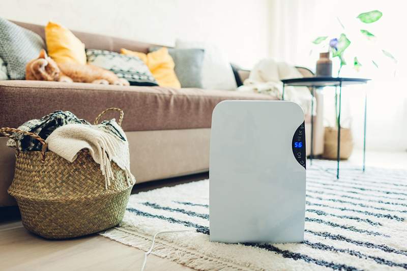 Quelle est la différence entre un humidificateur, un déshumidificateur et un purificateur d'air?