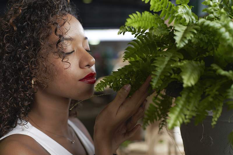 Vil at planten din skal leve lenger og trives fullt ut? Gi det et navn