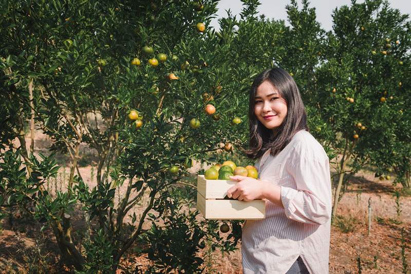 Bergamot est loué pour son parfum, mais il fait aussi des choses incroyables pour la peau