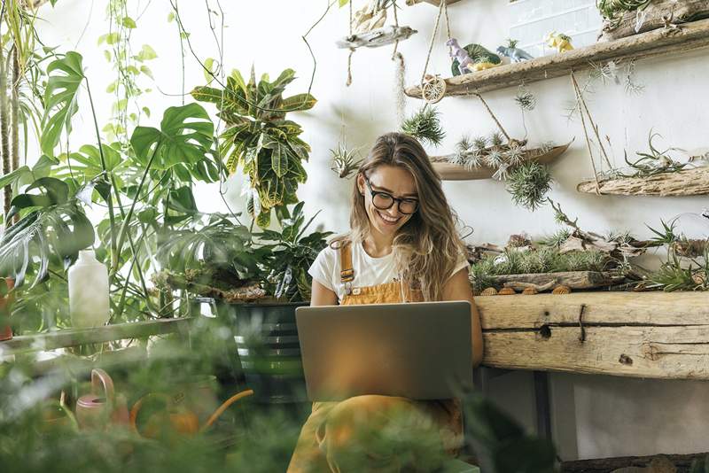 8 najlepszych miejsc do zakupu roślin online, aby zamienić dom w liściasty raj