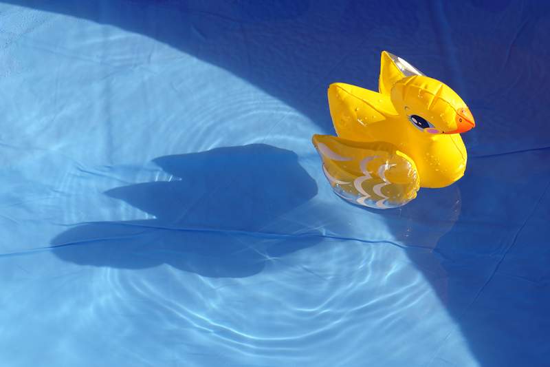 Cómo vertí todos mis sentimientos de pandemia en una piscina para niños en el patio trasero