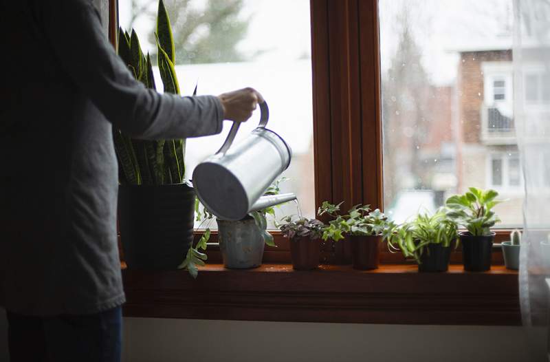 Hvordan man omdanner en enkelt brug plastbeholder til en smuk miljøvenlig planter