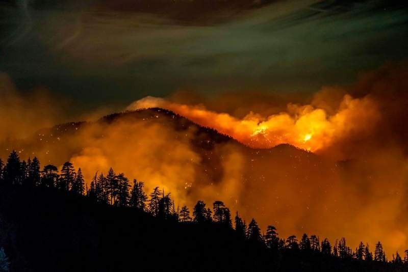 Apokalipsa je zdaj, da za preživetje potrebujemo takojšnje ukrepanje proti podnebnim spremembam