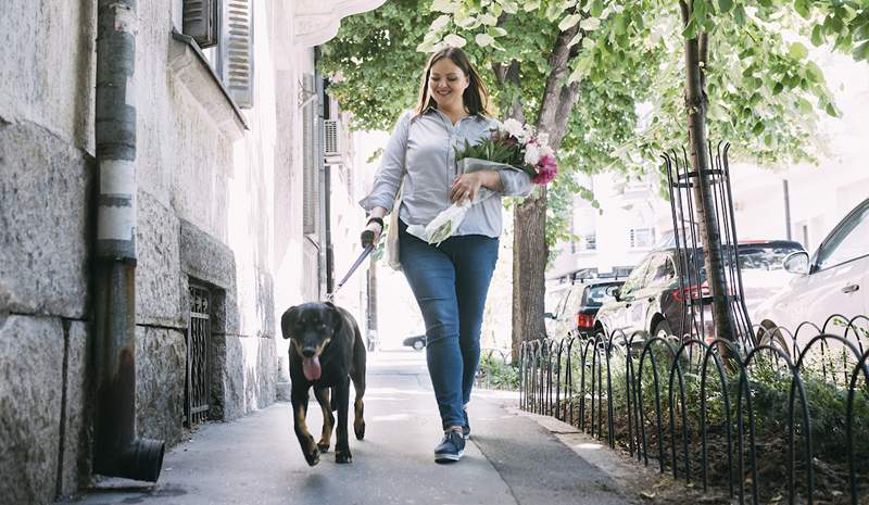 De bedste jeans, der blev lavet til tykkere lår