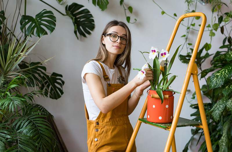 5 plantas (y tendencias vegetales) que serán muy grandes en 2021, según el reconocido experto en plantas Hilton Carter