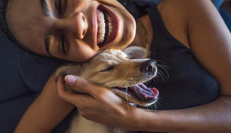 Az öröm és a boldogság közötti különbség megértése segíthet mindegyikhez több hozzáférésben