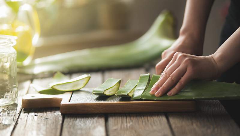 Cómo almacenar su gel de aloe vera para que permanezca utilizable por más tiempo