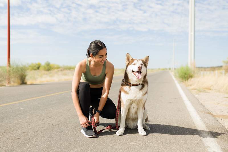 Ich möchte den Bürgersteig mit Ihrem Hund treffen? Dies sind die besten Leinen für das Laufen mit Ihrem besten Freund