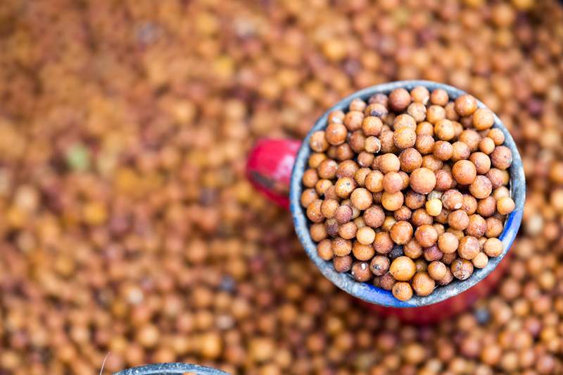 Du ska se sorghum överallt här varför detta forntida korn är så bra för dig