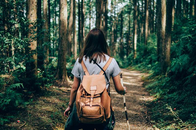 Agora que você está gastando mais tempo na natureza, é importante ser diligente sobre carrapatos