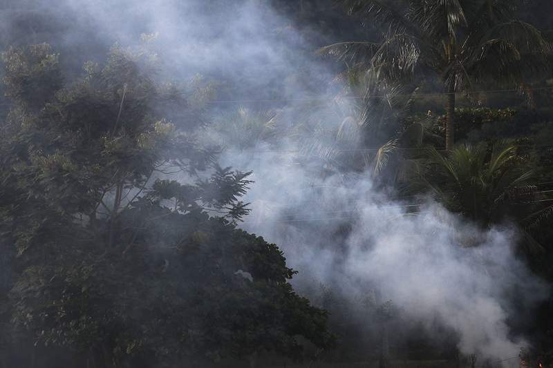 Jika Anda memposting #prayforamazon di media sosial, mungkin sudah waktunya untuk mempertimbangkan kembali konsumsi daging sapi Anda