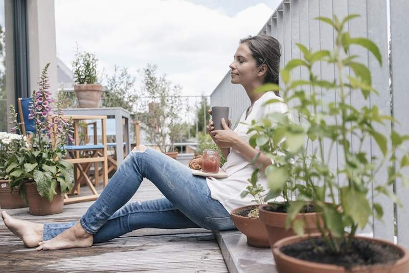 Medmen exclusivo, la Apple Store of Cannabis, lanza su primera línea de productos centrada en el bienestar