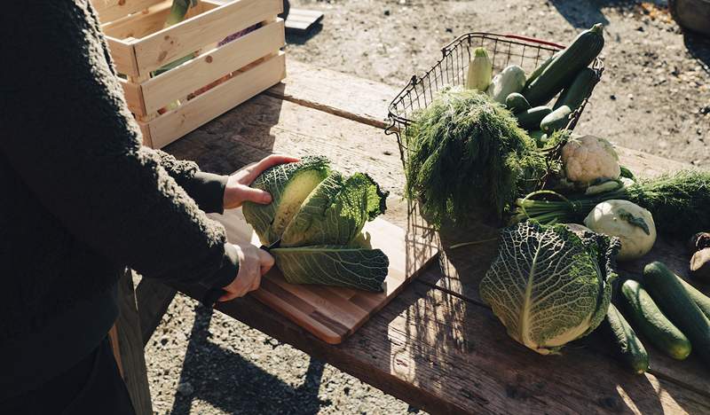 Den här leveransservicetjänsten för gård till bord