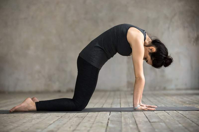 Cat Stretch es el backbend más fácil del yoga, pero puede abrirte como si no fuera asunto