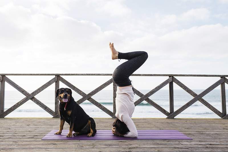 * Præcis* Hvor ofte skal du gøre yoga for at høste de maksimale fordele