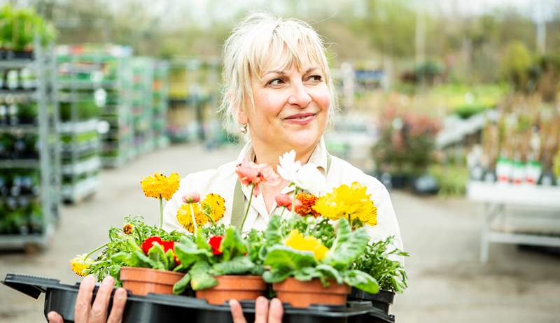 De 2 grootste redenen om planten te kopen van lokale kwekerijen in plaats van big-box winkels