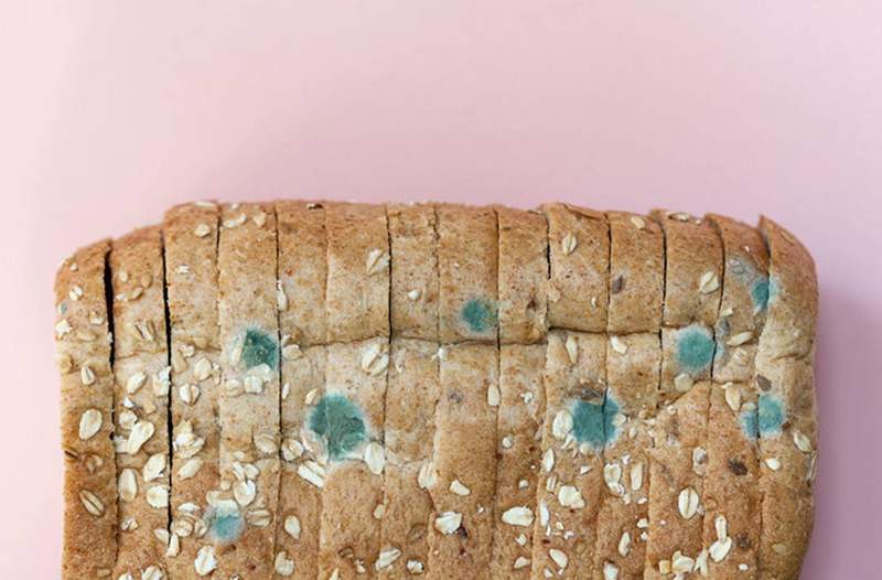 Was passiert, wenn Sie schimmeliges Brot essen?? Hier ist, was Sie tun sollen, wenn Sie versehentlich einen Bissen nehmen