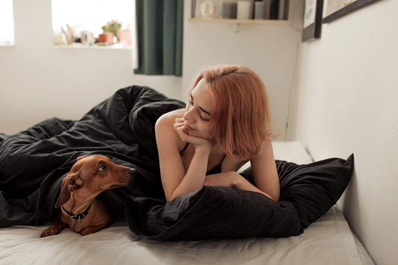 Faça este teste de cronotipo para descobrir seu animal de dormir