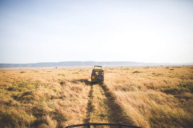 6 safari africani di lusso che stanno rendendo il benessere un focus serio