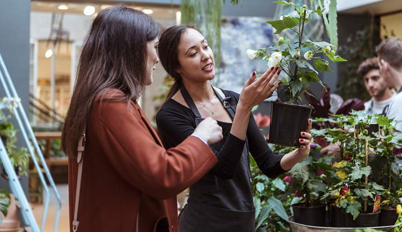 Como organizar uma festa de troca de plantas para seus amigos e comunidade