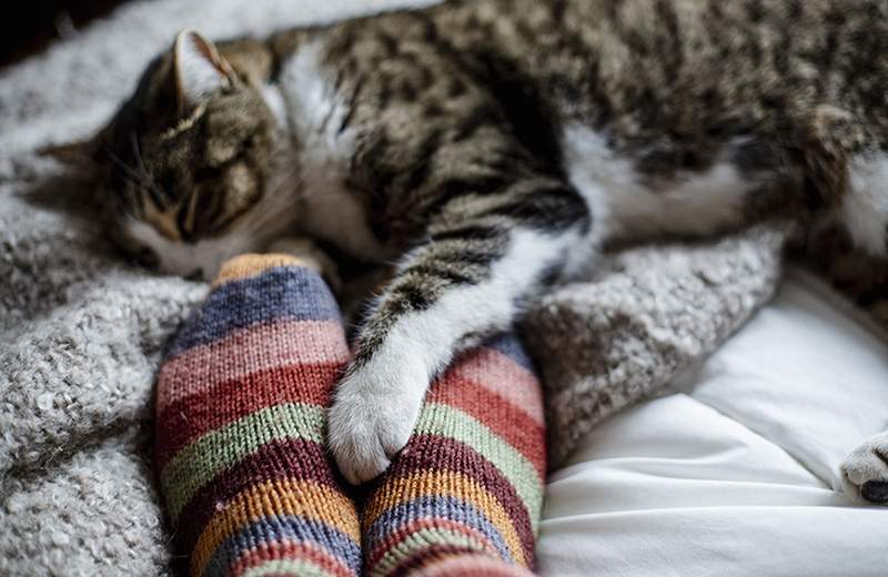 Los únicos pares de calcetines acogedores que necesitarás este invierno