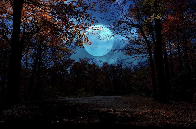 De zeldzame Halloween Full Blue Moon heeft levensveranderende energie-here wat te verwachten voor je bord