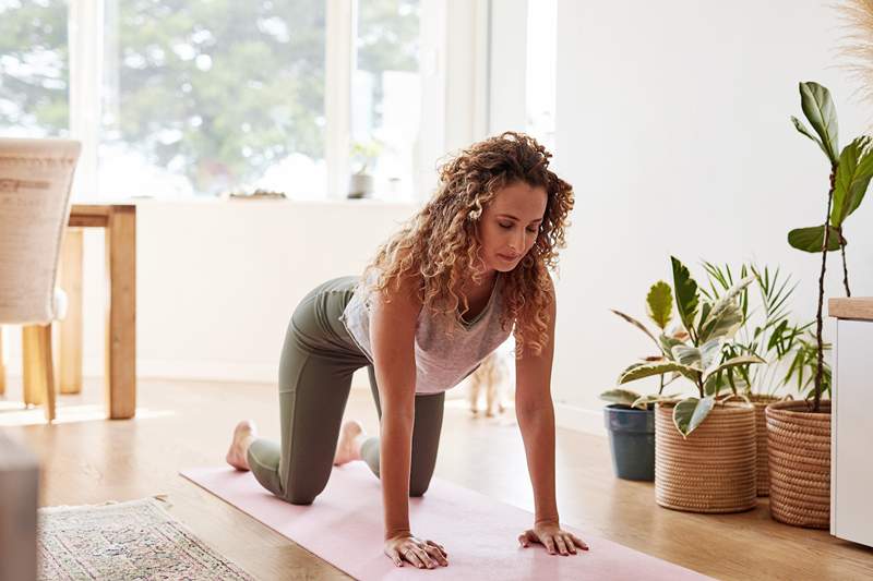 Ayı tarama egzersizi, omuzlarınızı (ve çekirdeğinizi) bir push-up'dan daha iyi çalışır