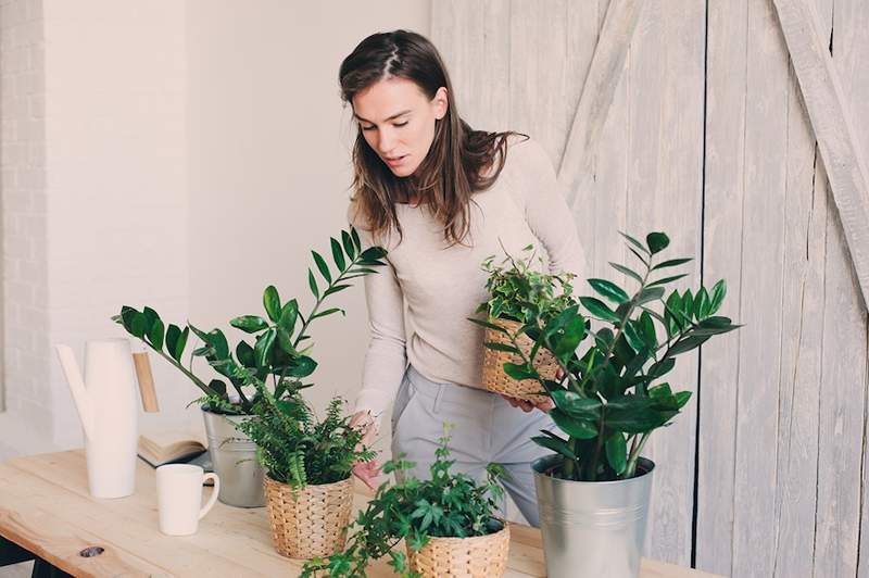 Drink een drankje met je bloemen, omdat de voordelen van tijd doorbrengen met planten echt zijn