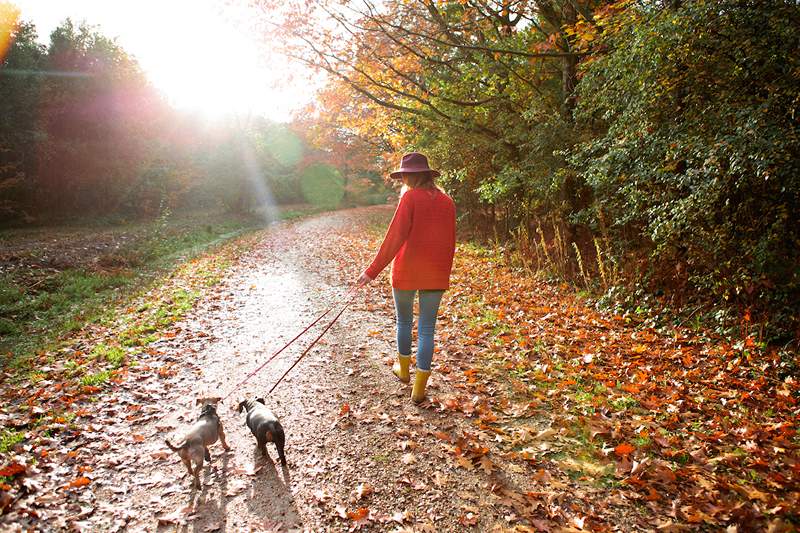 Das beste Herbst -Equinox -Ritual zum Üben, so Ihr Tierkreiszeichen