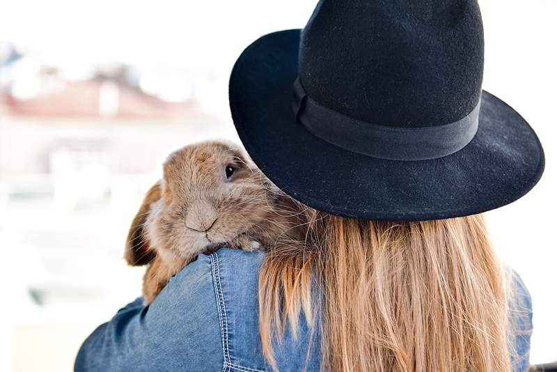 Die zwei Worte zum ersten des Monats für viel Glück Kaninchen, Kaninchen